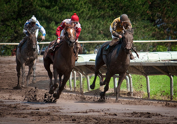 The Race
